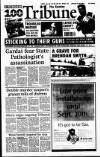 Sunday Tribune Sunday 24 August 1997 Page 1