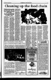 Sunday Tribune Sunday 08 February 1998 Page 43