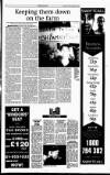 Sunday Tribune Sunday 22 March 1998 Page 33
