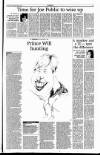 Sunday Tribune Sunday 29 March 1998 Page 17