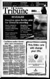 Sunday Tribune Sunday 31 January 1999 Page 1