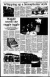 Sunday Tribune Sunday 14 February 1999 Page 92