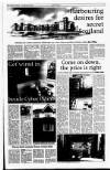 Sunday Tribune Sunday 14 February 1999 Page 97