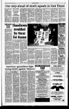 Sunday Tribune Sunday 21 March 1999 Page 19