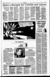 Sunday Tribune Sunday 04 April 1999 Page 17