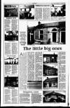 Sunday Tribune Sunday 04 April 1999 Page 46
