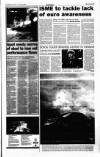 Sunday Tribune Sunday 21 January 2001 Page 29