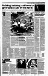 Sunday Tribune Sunday 23 June 2002 Page 29