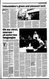 Sunday Tribune Sunday 05 January 2003 Page 19