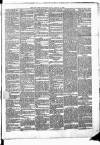 New Ross Standard Saturday 14 September 1889 Page 3