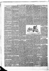 New Ross Standard Saturday 26 October 1889 Page 6