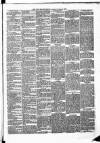 New Ross Standard Saturday 02 November 1889 Page 3
