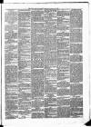 New Ross Standard Saturday 23 November 1889 Page 3