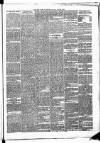 New Ross Standard Saturday 22 April 1893 Page 3