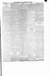 New Ross Standard Saturday 19 January 1895 Page 7