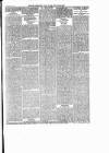 New Ross Standard Saturday 26 January 1895 Page 7