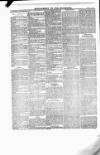 New Ross Standard Saturday 06 April 1895 Page 6