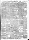 New Ross Standard Saturday 18 May 1895 Page 3