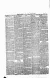 New Ross Standard Saturday 22 June 1895 Page 6