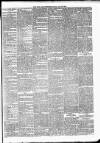 New Ross Standard Saturday 29 June 1895 Page 3