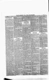 New Ross Standard Saturday 29 June 1895 Page 6