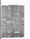 New Ross Standard Saturday 29 February 1896 Page 7