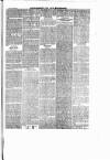 New Ross Standard Saturday 14 November 1896 Page 7