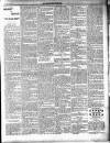 New Ross Standard Saturday 21 April 1900 Page 7