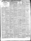 New Ross Standard Saturday 16 November 1901 Page 11