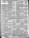 New Ross Standard Friday 20 June 1902 Page 13