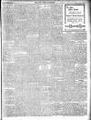 New Ross Standard Friday 28 November 1902 Page 13