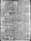 New Ross Standard Friday 10 March 1905 Page 13