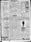 New Ross Standard Friday 24 June 1910 Page 11
