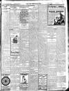 New Ross Standard Friday 31 January 1913 Page 13