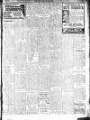 New Ross Standard Friday 01 March 1918 Page 3