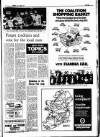 New Ross Standard Friday 03 June 1977 Page 13