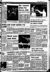 New Ross Standard Friday 20 February 1981 Page 19
