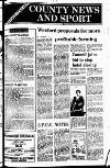 New Ross Standard Friday 15 October 1982 Page 17