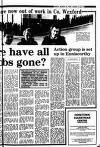 New Ross Standard Friday 18 March 1983 Page 29