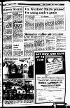 New Ross Standard Friday 05 October 1984 Page 19