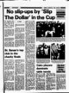New Ross Standard Friday 02 January 1987 Page 23