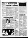 New Ross Standard Friday 20 March 1987 Page 41