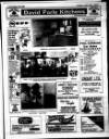 New Ross Standard Thursday 08 June 1989 Page 33