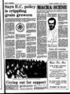 New Ross Standard Thursday 07 December 1989 Page 29