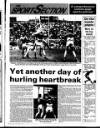 New Ross Standard Thursday 16 May 1991 Page 29