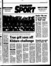 New Ross Standard Thursday 24 March 1994 Page 49