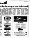 New Ross Standard Wednesday 13 March 1996 Page 73