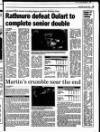 New Ross Standard Wednesday 01 January 1997 Page 29