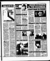 Sunday World (Dublin) Sunday 05 September 1993 Page 15