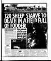 Sunday World (Dublin) Sunday 07 March 1999 Page 29